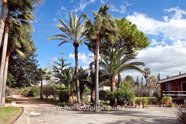 коттеджи на Palma City