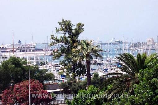 квартиры на Palma City