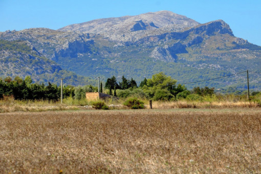 земельные участки на Alcudia