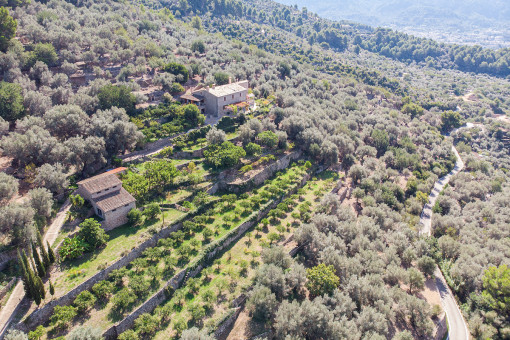 Exceptional finca property with its own vineyard and beautiful views on the outskirts of Sóller