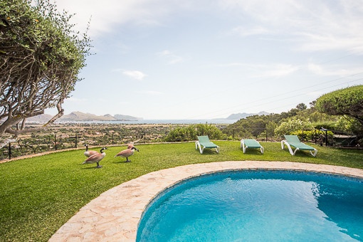 Idyllic pool area