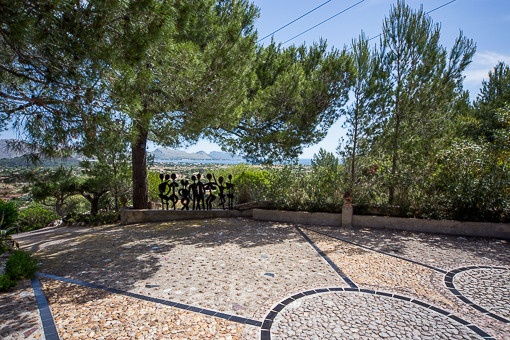 Terrace surrounded by pines