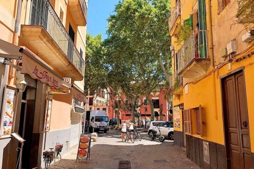 квартиры на Palma City