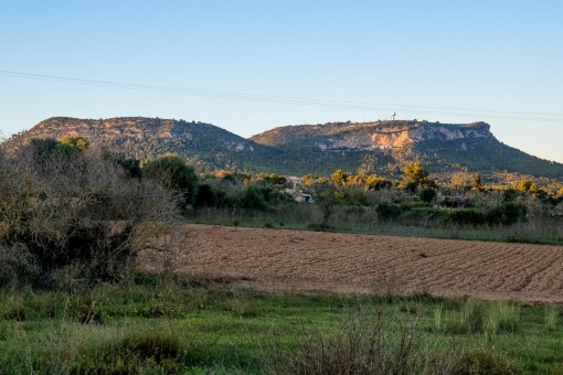 Large finca building plot with project in Llucmajor