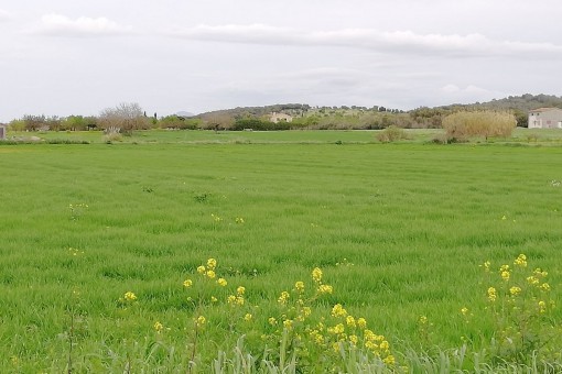 Beautiful building plot in the heart of Mallorca