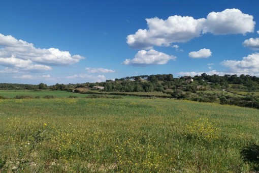 земельные участки на Manacor-South