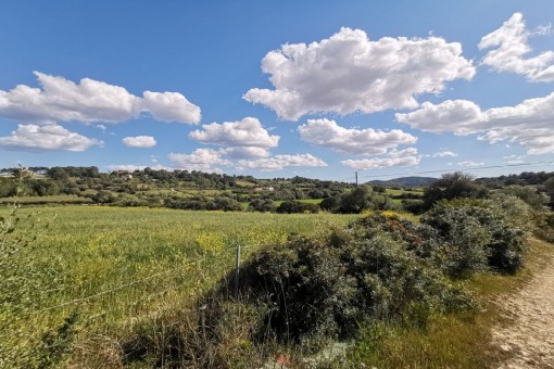 земельные участки на Manacor-South