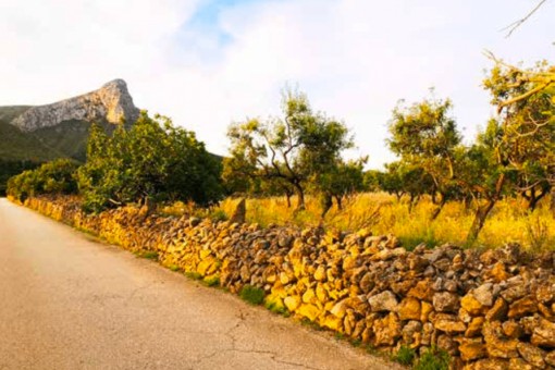 земельные участки на Colonia de San Pedro
