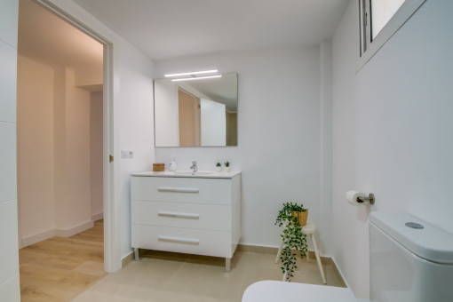 Guest bathroom
