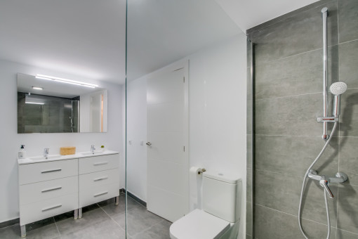 Elegant bathroom with shower