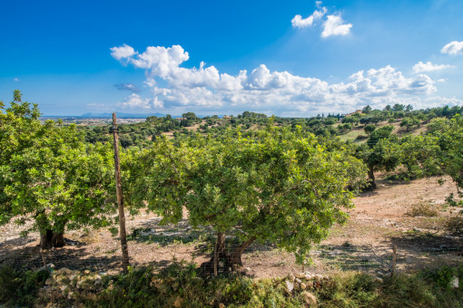 Large plot surrounds the chalet