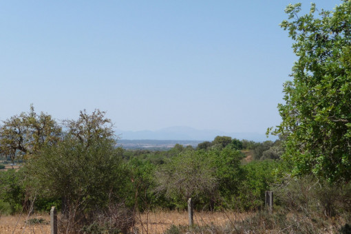 Beautiful plot with basic project in beautiful location near Manacor