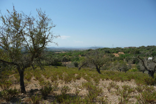 Building plot with project in a beautiful location near Manacor