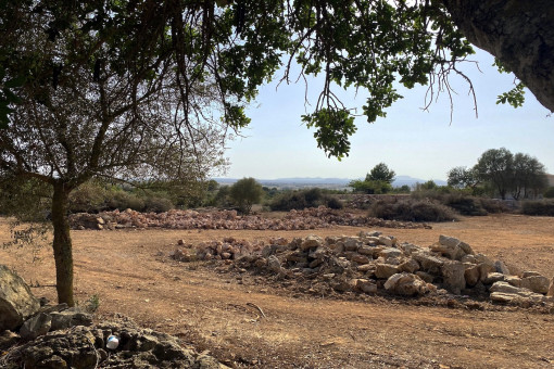 Single-level, newly-built finca with pool and Mediterranean garden between Felanitx and Manacor