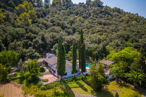 Rustic finca on a hillside in absolute tranquility with a pool, rental license, and proximity to the old town of Pollensa