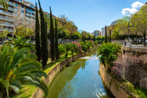 квартиры на Palma de Mallorca Old Town
