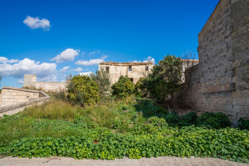 земельные участки на Santa Margalida