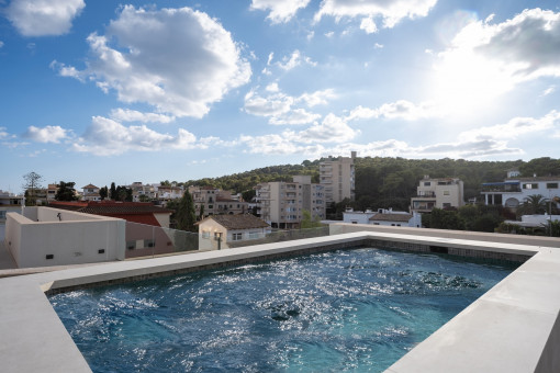 квартиры на Son Armadams