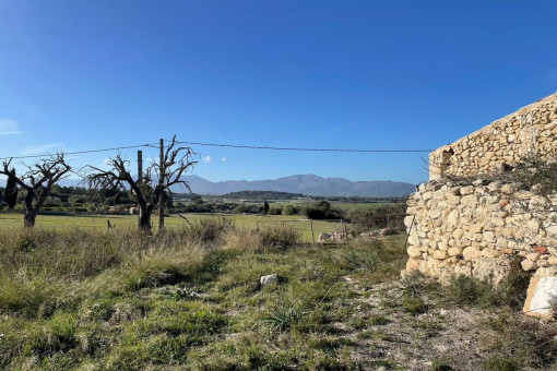 Fantastic plot with panoramic views and building project in Santa Margalida