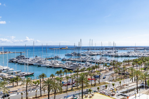 квартиры на Paseo Maritimo
