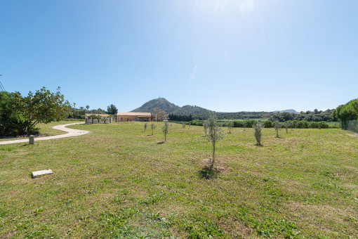 Panoramic View of the Land with Olive Trees, Finca and Garage