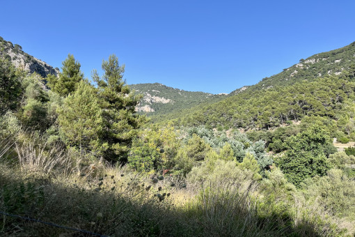 земельные участки на Valldemossa