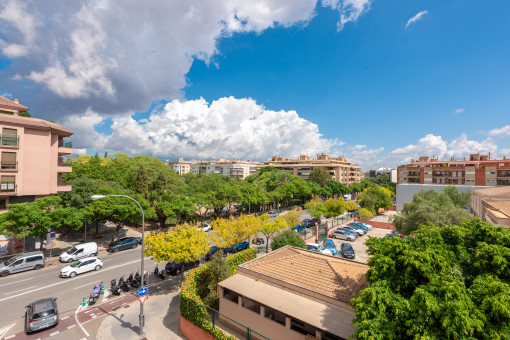 квартиры на Palma City