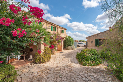 коттеджи на Campos коттеджи на Campos