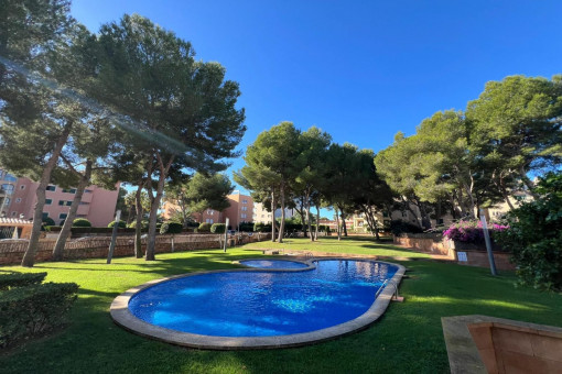 квартиры на Mayoris Decima