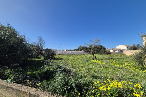 земельные участки на Santanyi