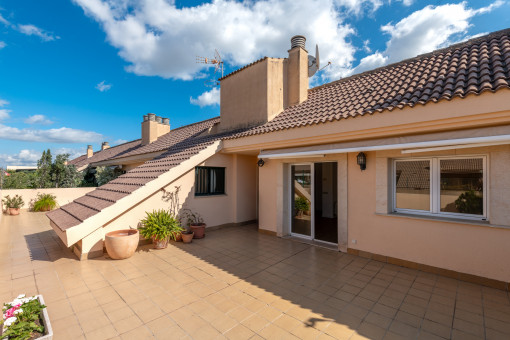 квартиры на Palma City